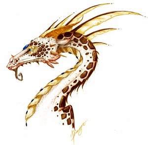 Dragon_by_Draugar.png